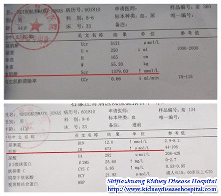 Treat for Patient with Chronic Kidney Failure by Chinese Medicine Therapies