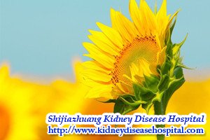Chinese Medicine Treatments,PKD,No Need Kidney Transplant
